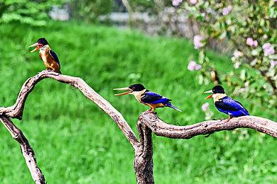 数据网站EpicDB上线 大量未公布项目泄露：《最终幻想9：重制版》等